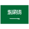 Riyadh  (Saudi Arabia) Cloud RDP