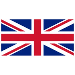 United Kingdom (UK) RDP for DATING